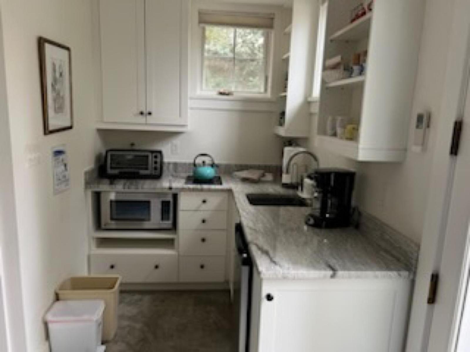 New Luxe Cleveland Park Near Zoo Apartment *