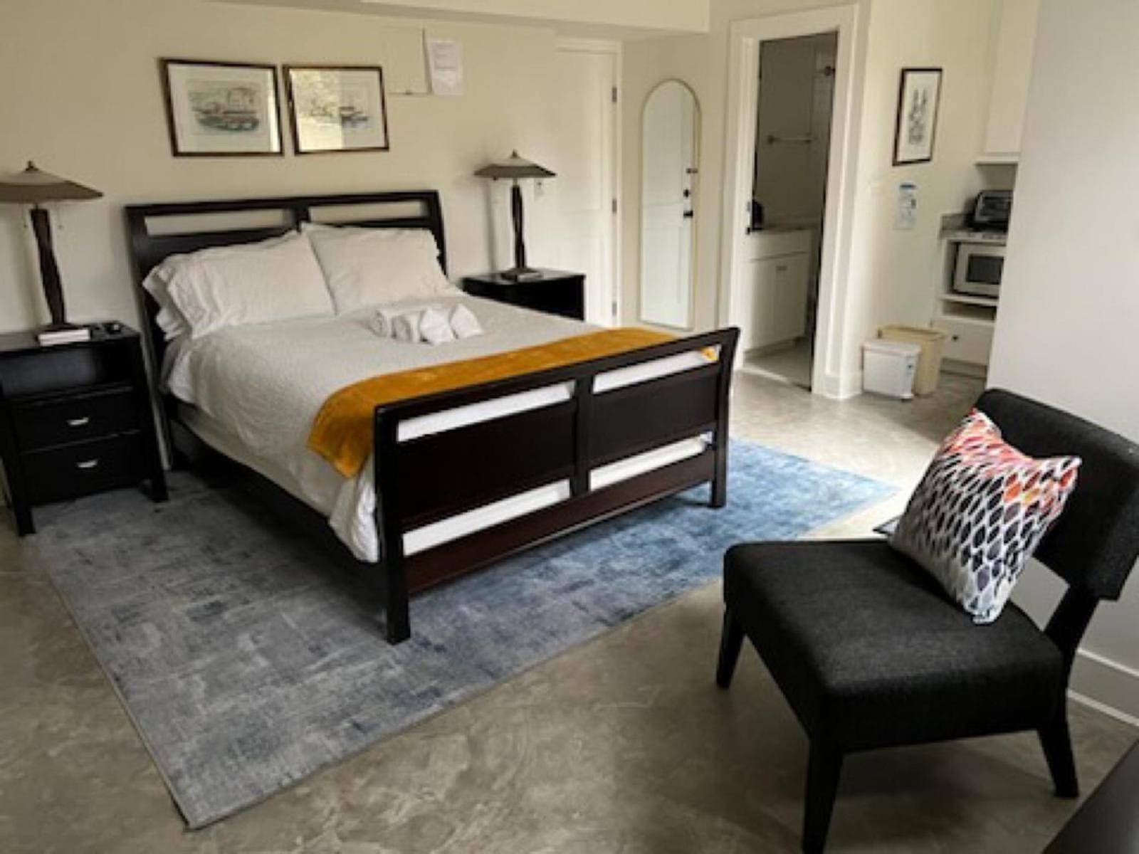 New Luxe Cleveland Park Near Zoo Apartment *